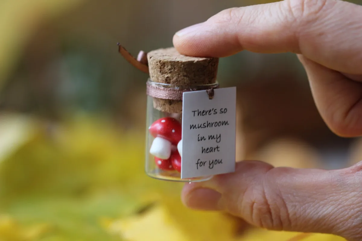 Fly Agaric Miniature Polymer Clay Figurine Mushroom Quarantine Gift Vegan Gift Personalized Gift Boyfriend Girlfriend Romantic Funny Present 5