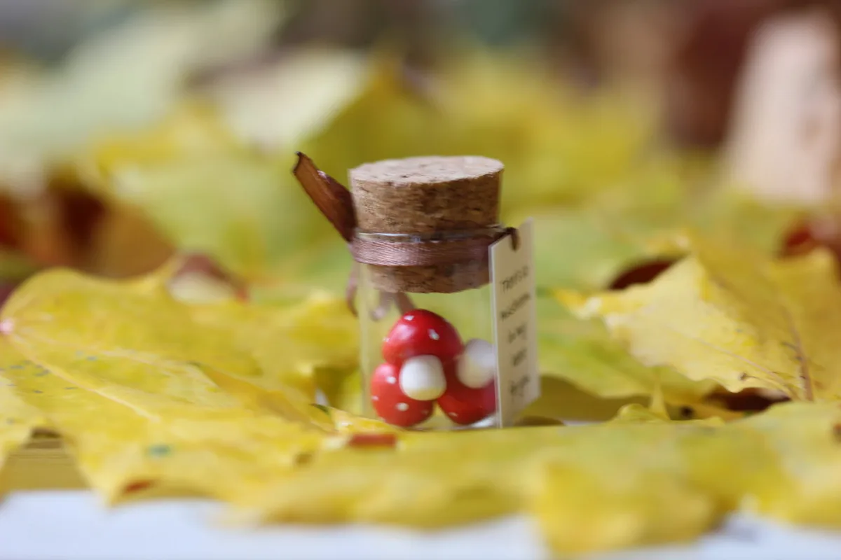 Fly Agaric Miniature Polymer Clay Figurine Mushroom Quarantine Gift Vegan Gift Personalized Gift Boyfriend Girlfriend Romantic Funny Present 6
