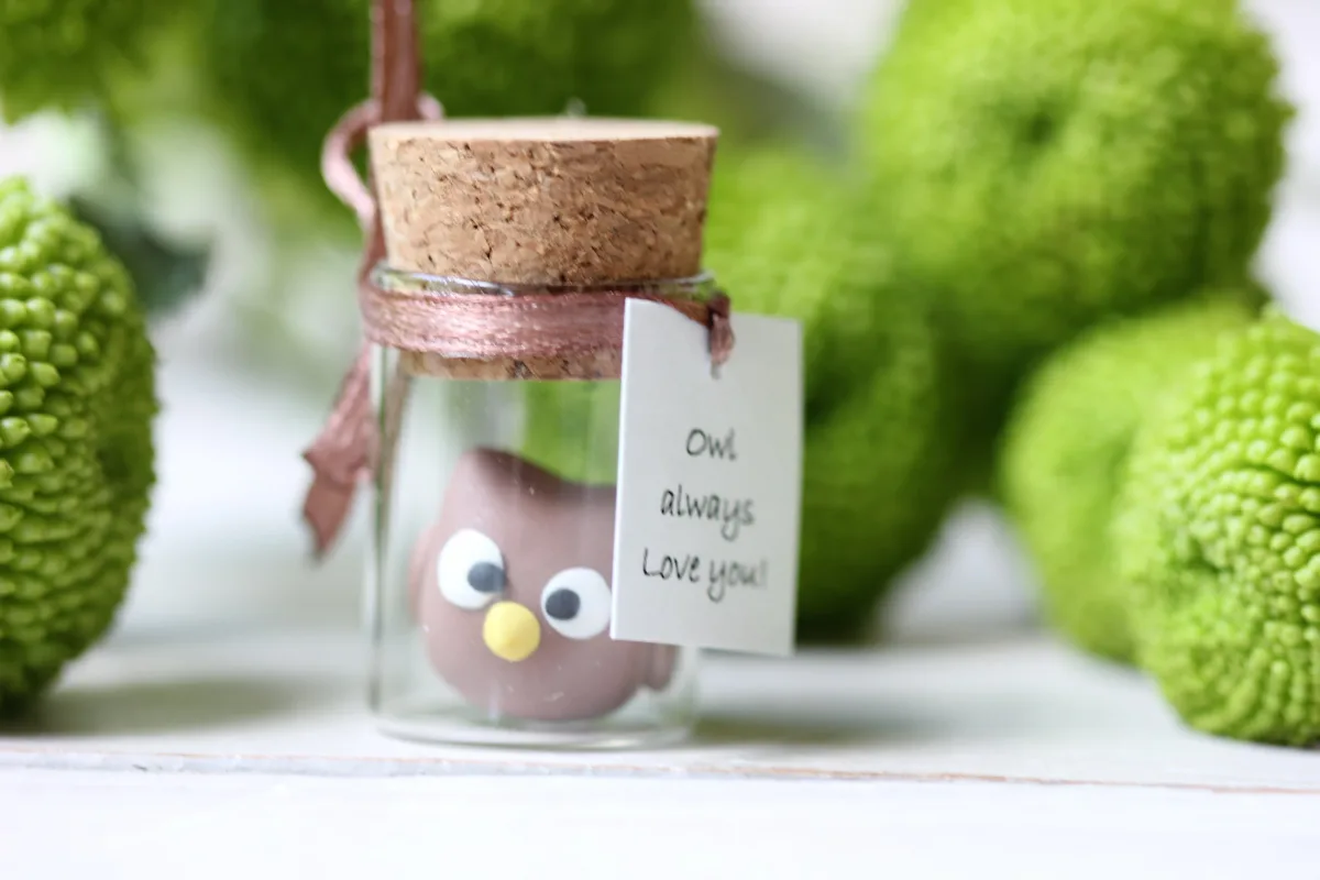 Funny Personalized Gift for Owl Lovers for Girlfriend Boyfriend Customized Funny Gift for Those you Love Friends Relatives Party Favors 8