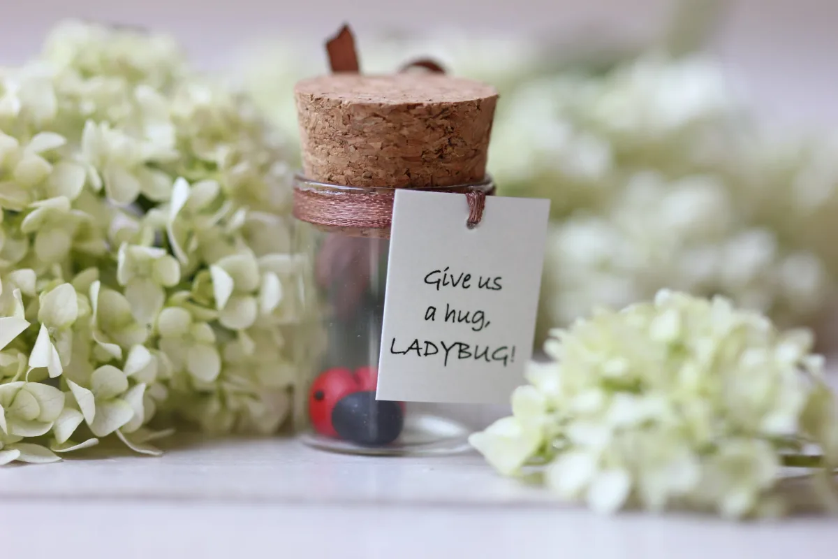 Funny Personalized Good Luck Gift for Ladybug Lovers 2