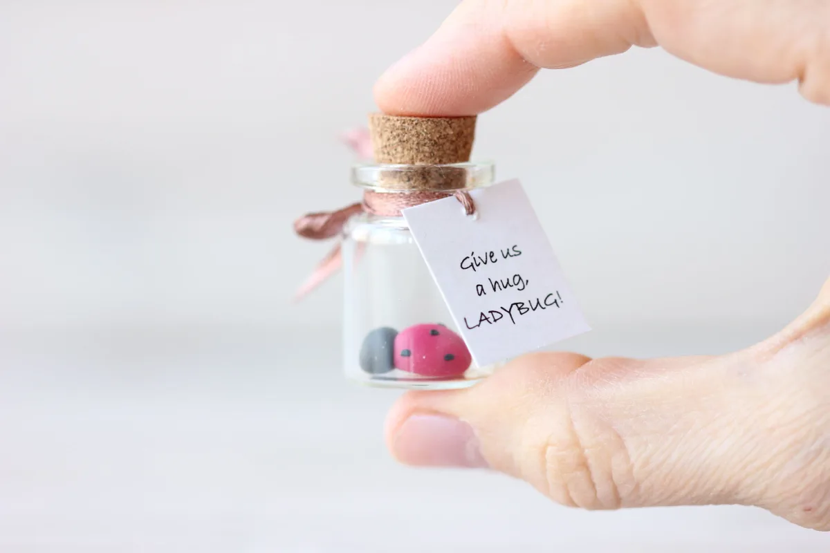 Funny Personalized Good Luck Gift for Ladybug Lovers 3