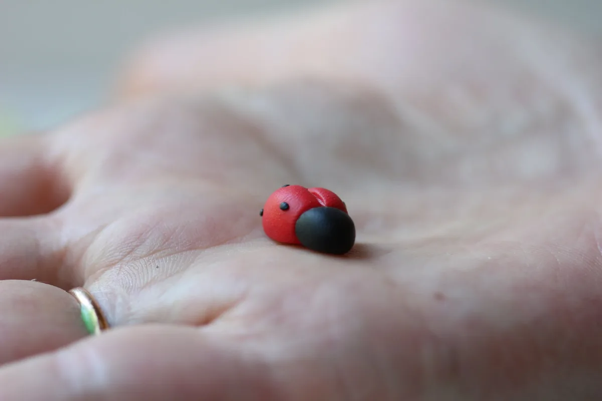Funny Personalized Good Luck Gift for Ladybug Lovers 6
