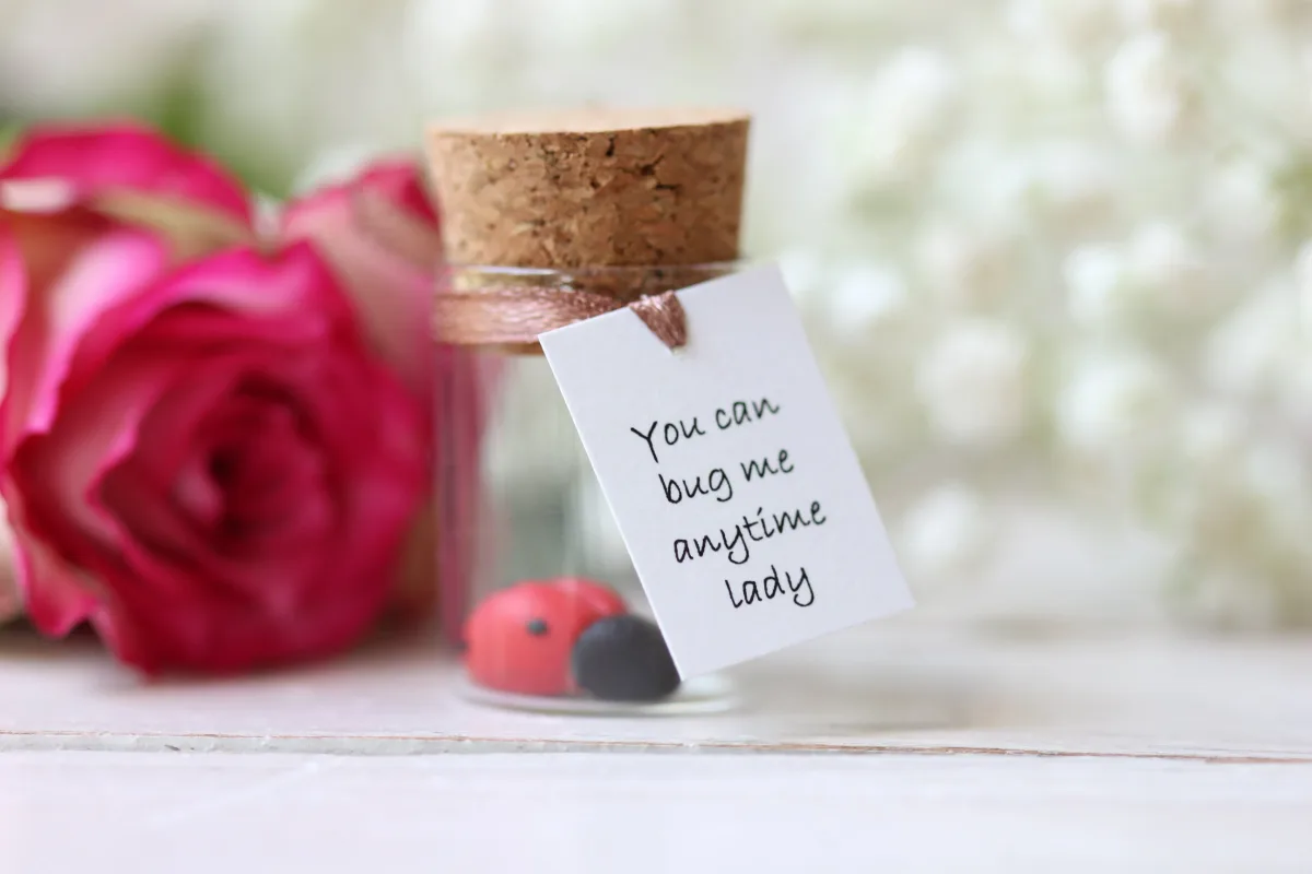 Funny Personalized Good Luck Gift for Ladybug Lovers 7