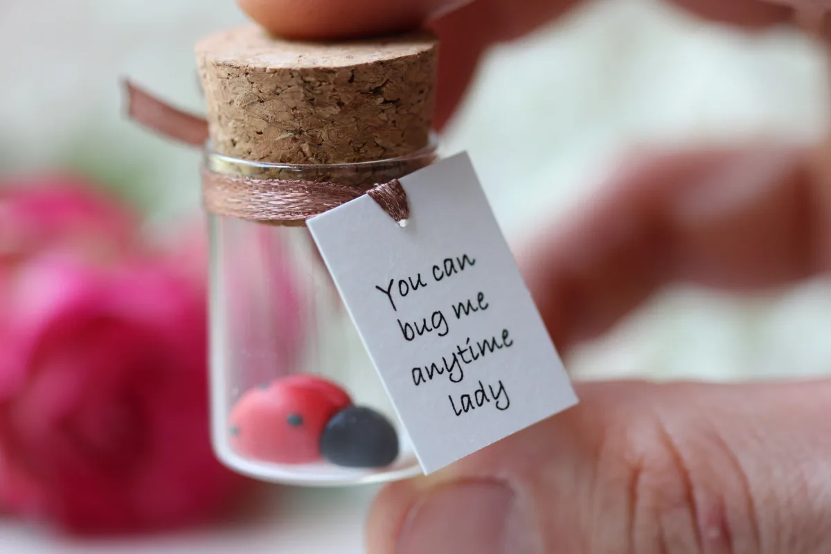 Funny Personalized Good Luck Gift for Ladybug Lovers 8