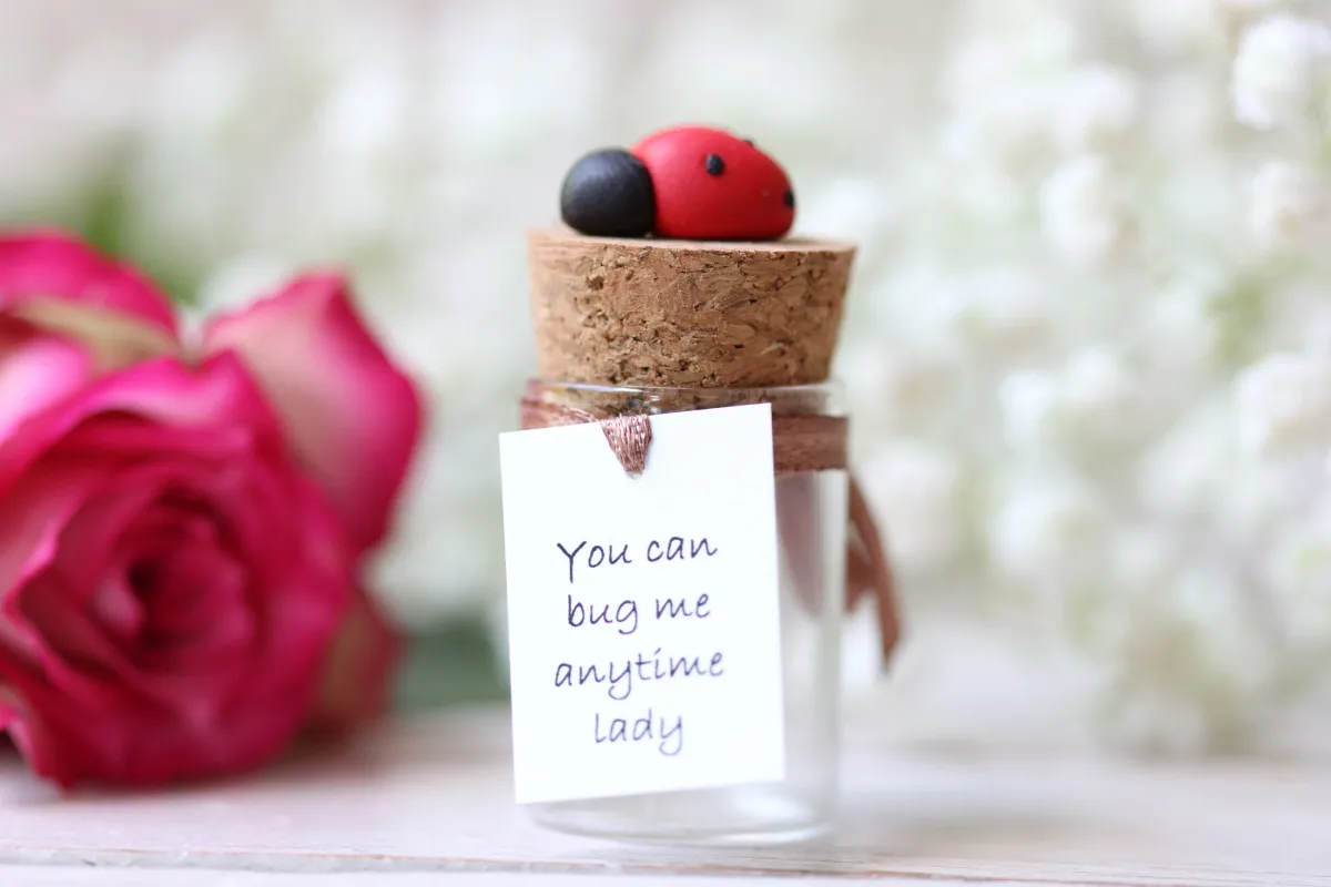 Funny Personalized Good Luck Gift for Ladybug Lovers 9
