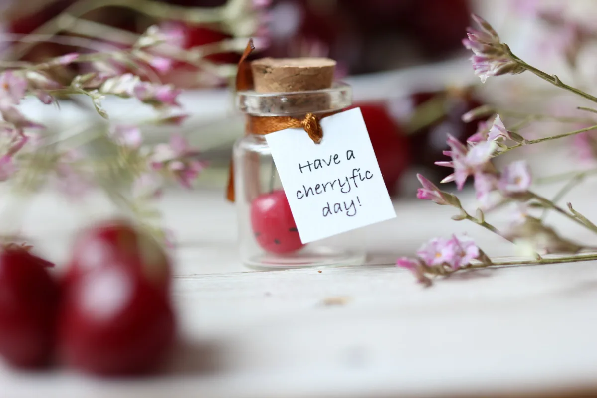 Miss you Gift Cherry Miniature Figurine Berry Boyfriend Girlfriend Thank you Gift Personalized Customized Party Favors for Teens and Adults 5