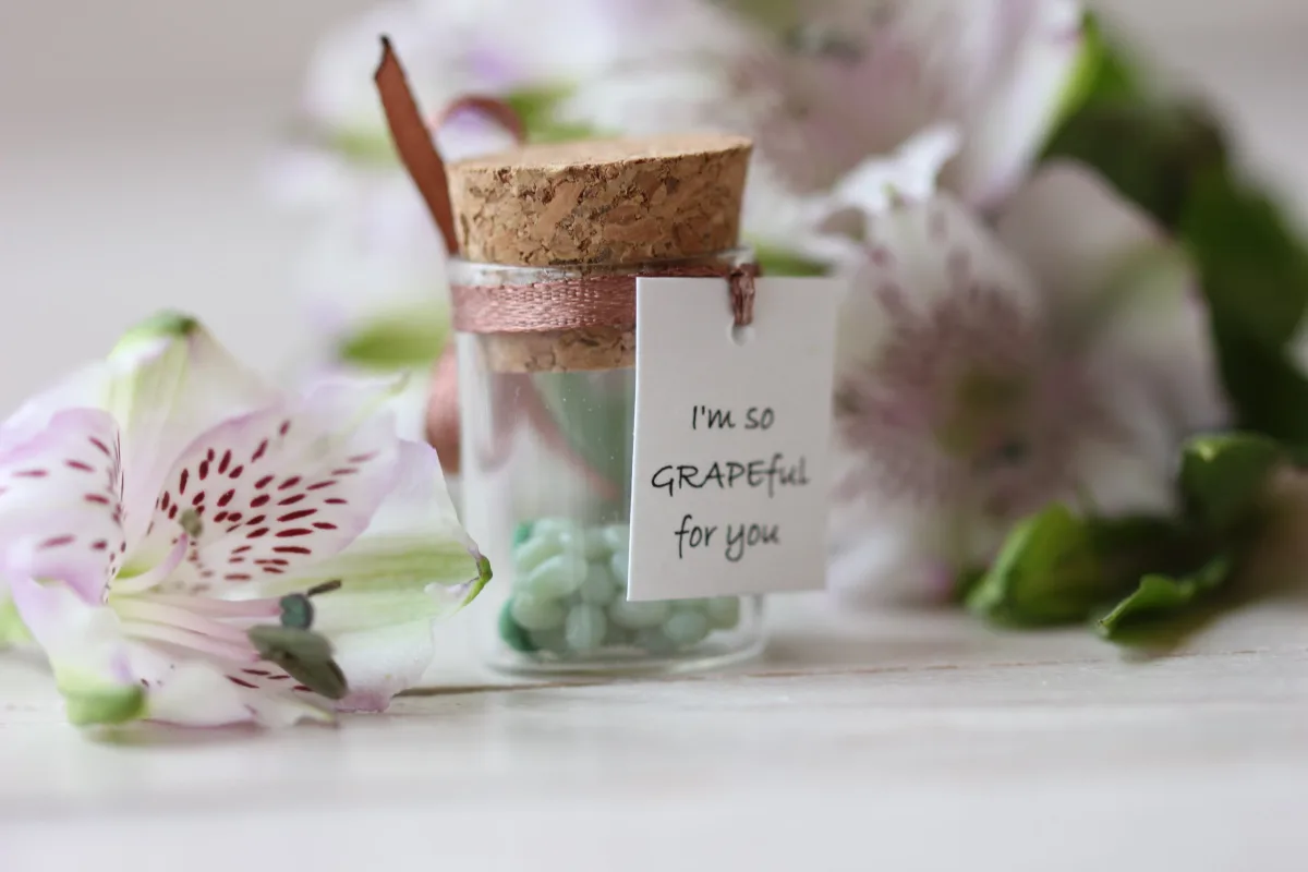 Thanksgiving Day Gift, Thank you Gift, Mom Gift, Grandma Gift, Best Friend Gift, Girlfriend Gift, Funny Quarantine Gift, Thanksgiving Favor 1