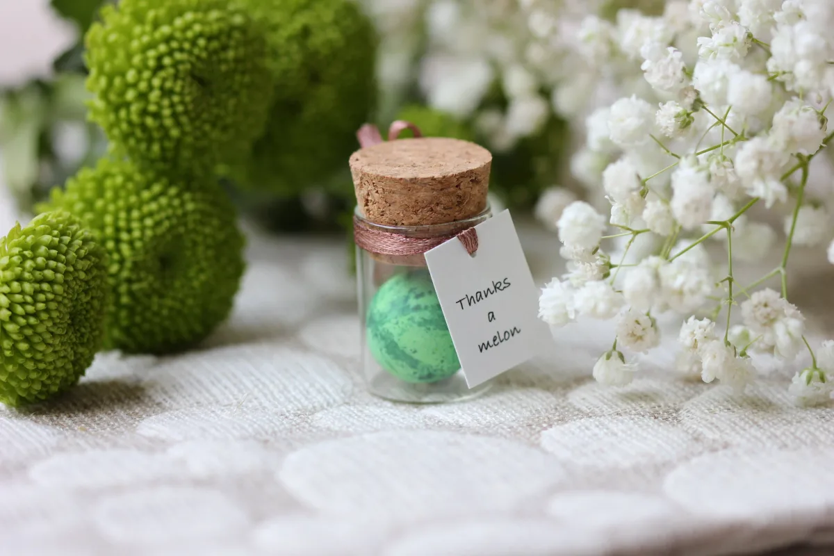 Watermelon Customized Party Favor Personalized Funny Boyfriend Girlfriend Gift for Her For Him Customized Watermelon Wedding Party Favor 7