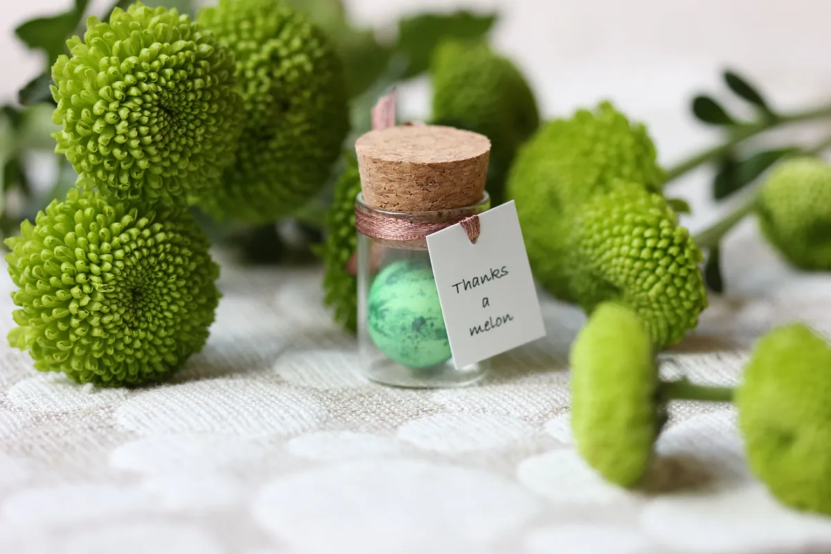 Watermelon Customized Party Favor Personalized Funny Mom Dad Parents Teachers Gift for Her For Him Customized Watermelon Wedding Party Favor 5