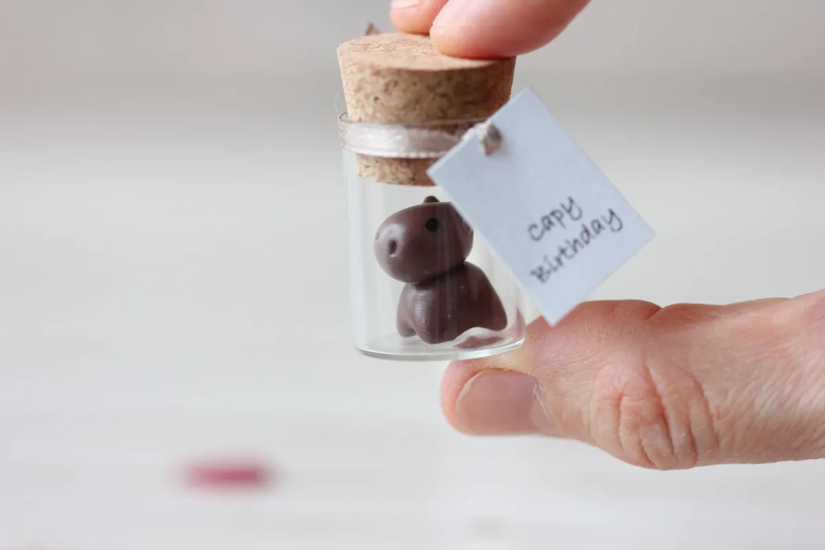 Birthday Gift Capybara Figurine Glass Bottle with a Cute Little Capybara Boyfriend Girlfriend Personalized Capybara Lovers Gift Teen Gift 5
