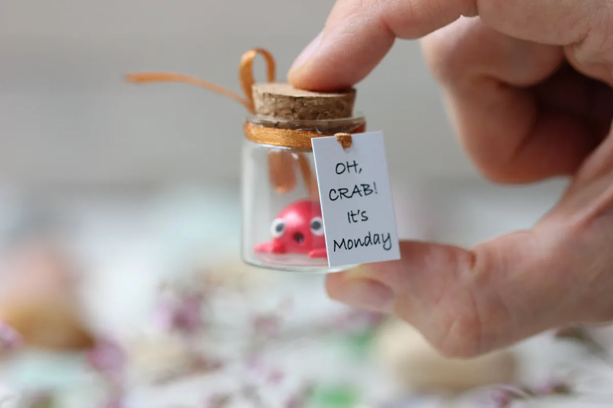 Funny Birthday Personalized Gift for Girlfriend Boyfriend Miniature Figure Crab Cute Party Favors Gifts for Crab Seafood Lovers, Parents 4