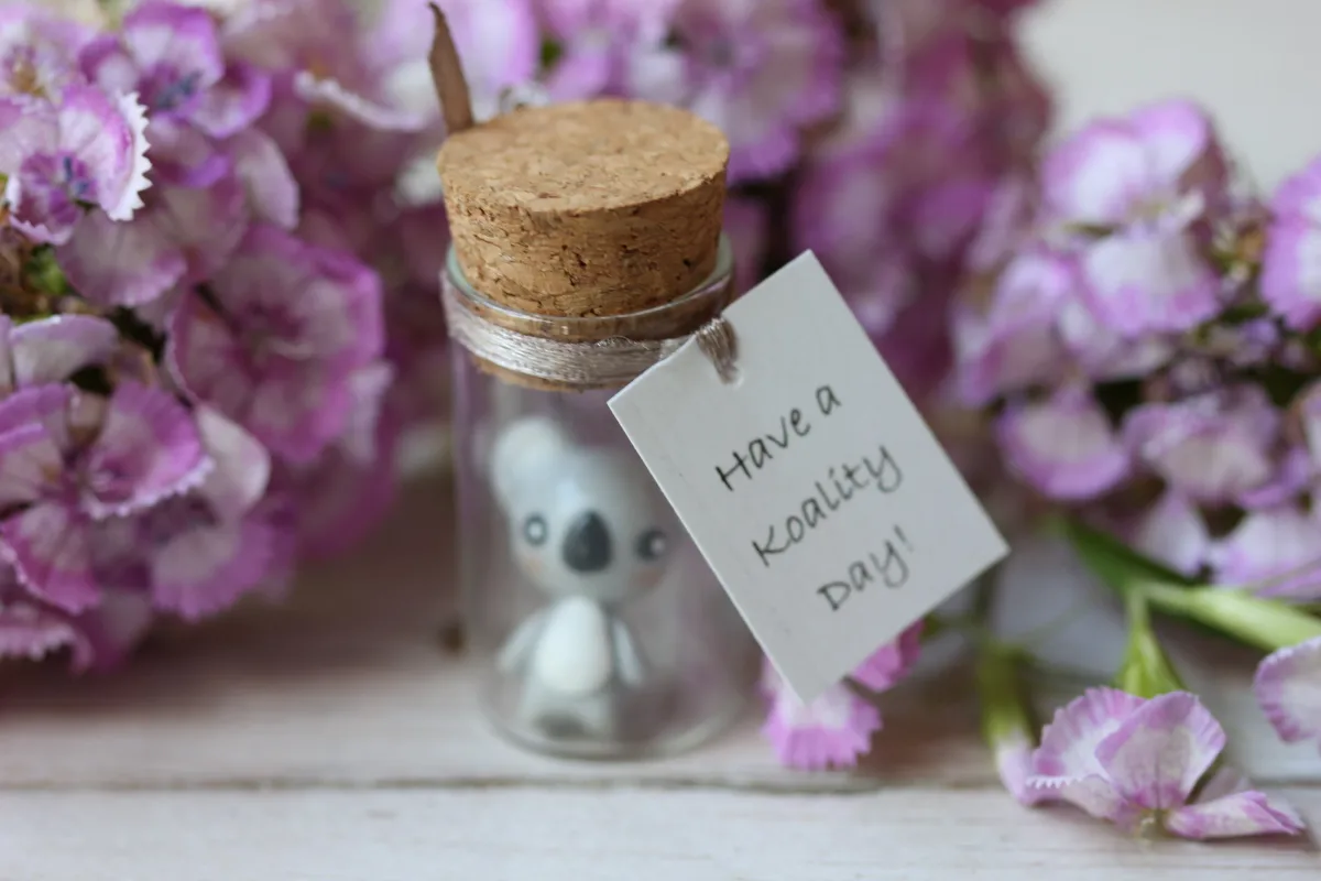 Koala Customizable Just Because Gift Friendship Appreciation Token Birthday Surprises Family Reunion Favors Pun Gift Class Reunion Favors 9