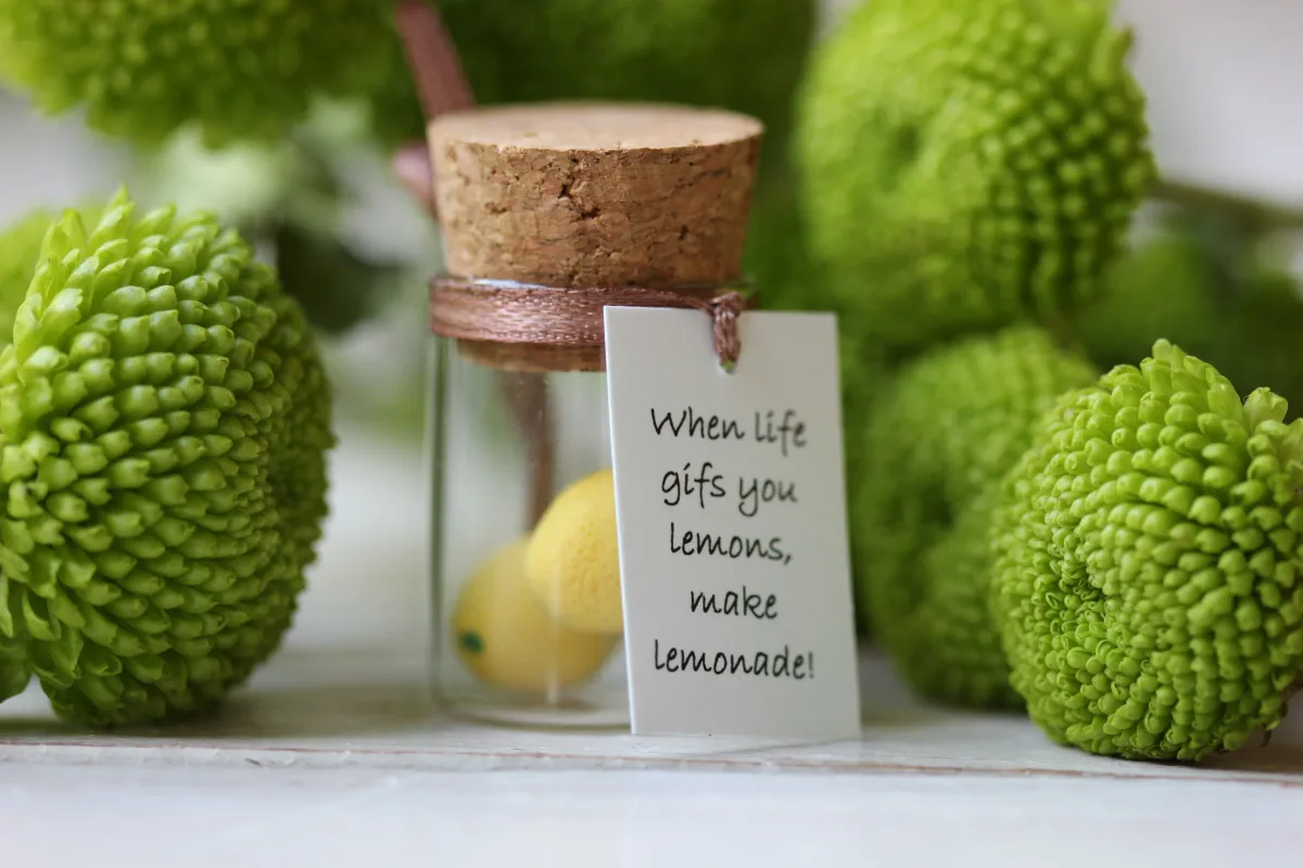 When Life Gives You Lemons, Make Lemonade, Kitchen decor, Positive Quote, Lemonade Party Decoration, Inspirational Quote, Birthday Gift