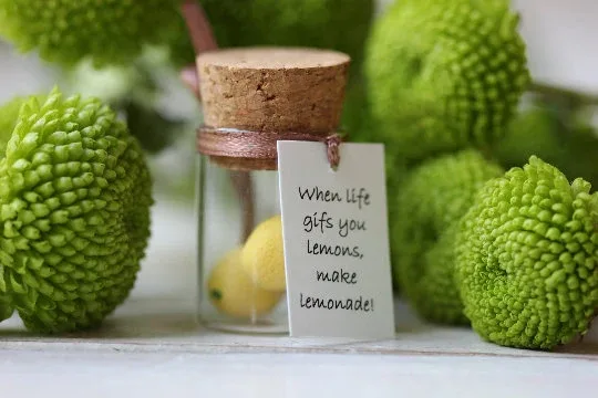 When Life Gives You Lemons, Make Lemonade, Kitchen decor, Positive Quote, Lemonade Party Decoration, Inspirational Quote, Birthday Gift 4