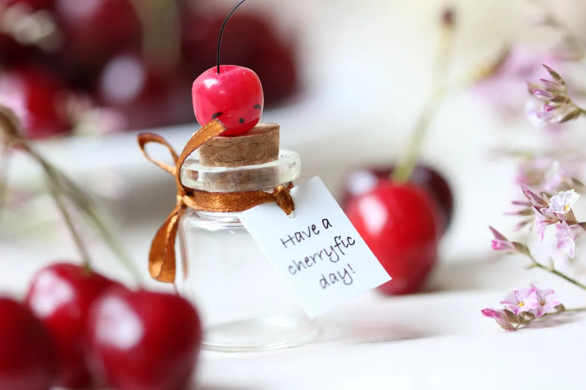 Cherry Miniature Figurine Berry Sweet Cherry Gift Boyfriend Girlfriend Gift Miss you Gift Thank you Gift Christmas Birthday Vegan Present 3