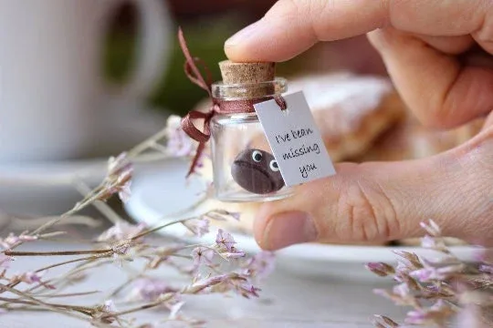 Coffee Bean Gift, Miniature Bean Customized Boyfriend, Girlfriend Present, Romantic Funny Gift Miss you Gift Personalized Christmas Gift 1