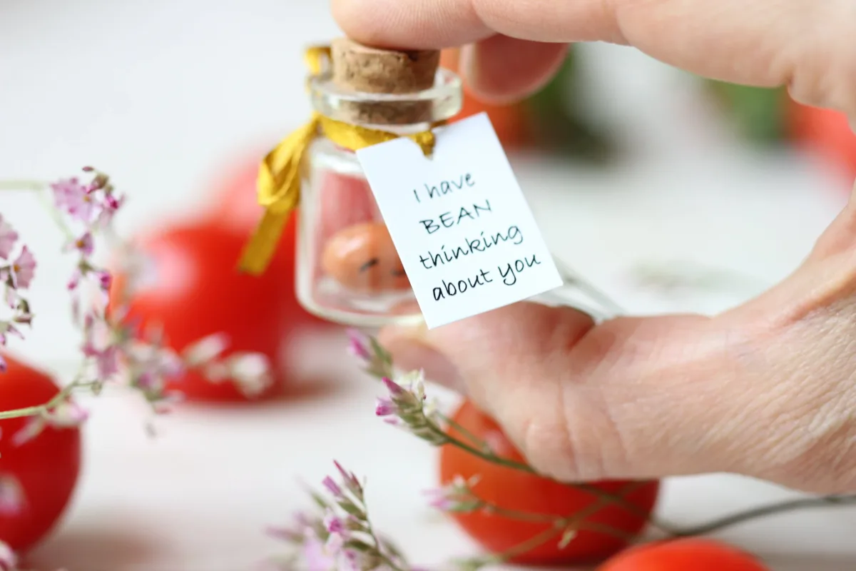 Cute Baked Bean Gift, You Are My Favourite Human Bean, Punny Birthday Valentines Day, Christmas, Best Friend Gift Miniature Bean in a Bottle 3