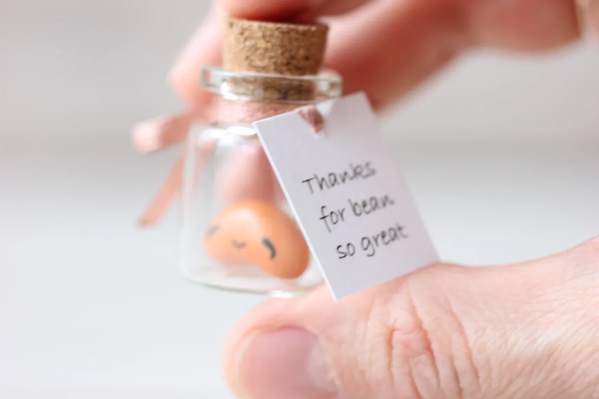 Cute Baked Bean Gift, You Are My Favourite Human Bean, Punny Birthday Valentines Day, Christmas, Best Friend Gift Miniature Bean in a Bottle 8