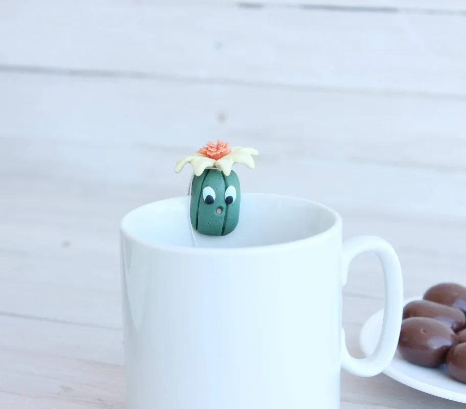 Cute Cactus Tea Bag Holder, Unique Cactus Ornament, Cactus Lovers Gifts, Christmas Birthday Mother's Day New Year Valentines Day Gift 2