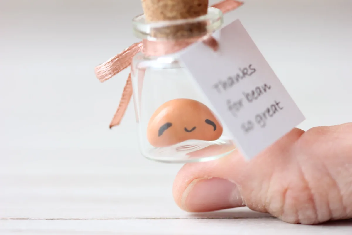 Everlasting Love Beans Cute Baked Bean Marriage Proposal Gift Favourite Human Bean, Punny Engagement Birthday Gift Christmas Miniature Bean 7