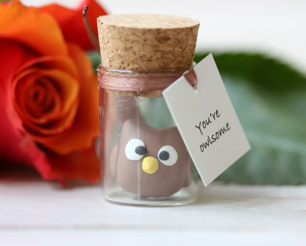 Feathered Friend in a Bottle: Handcrafted Owl Figurine Gift for Owl Lovers Funny Personalized Party Favors Christmas Gift 1