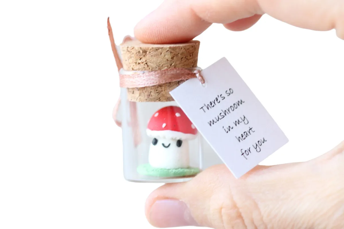 Fly Agaric Miniature Figurine Mushroom Personalized Boyfriend Girlfriend Romantic Funny Gift Valentine's Day Present Advent Calendar Gift 5
