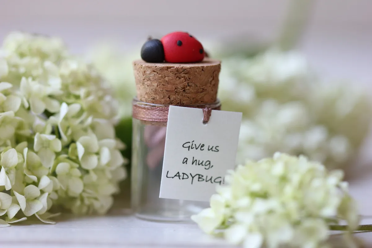 Funny Personalized Good Luck Gift for Ladybug Lovers Unique Handmade Motivational Present Customized Party Favors Office Gift Christmas 2
