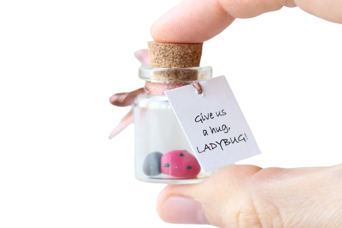 Funny Personalized Good Luck Gift for Ladybug Lovers Unique Handmade Motivational Present Customized Party Favors Office Gift Christmas 5