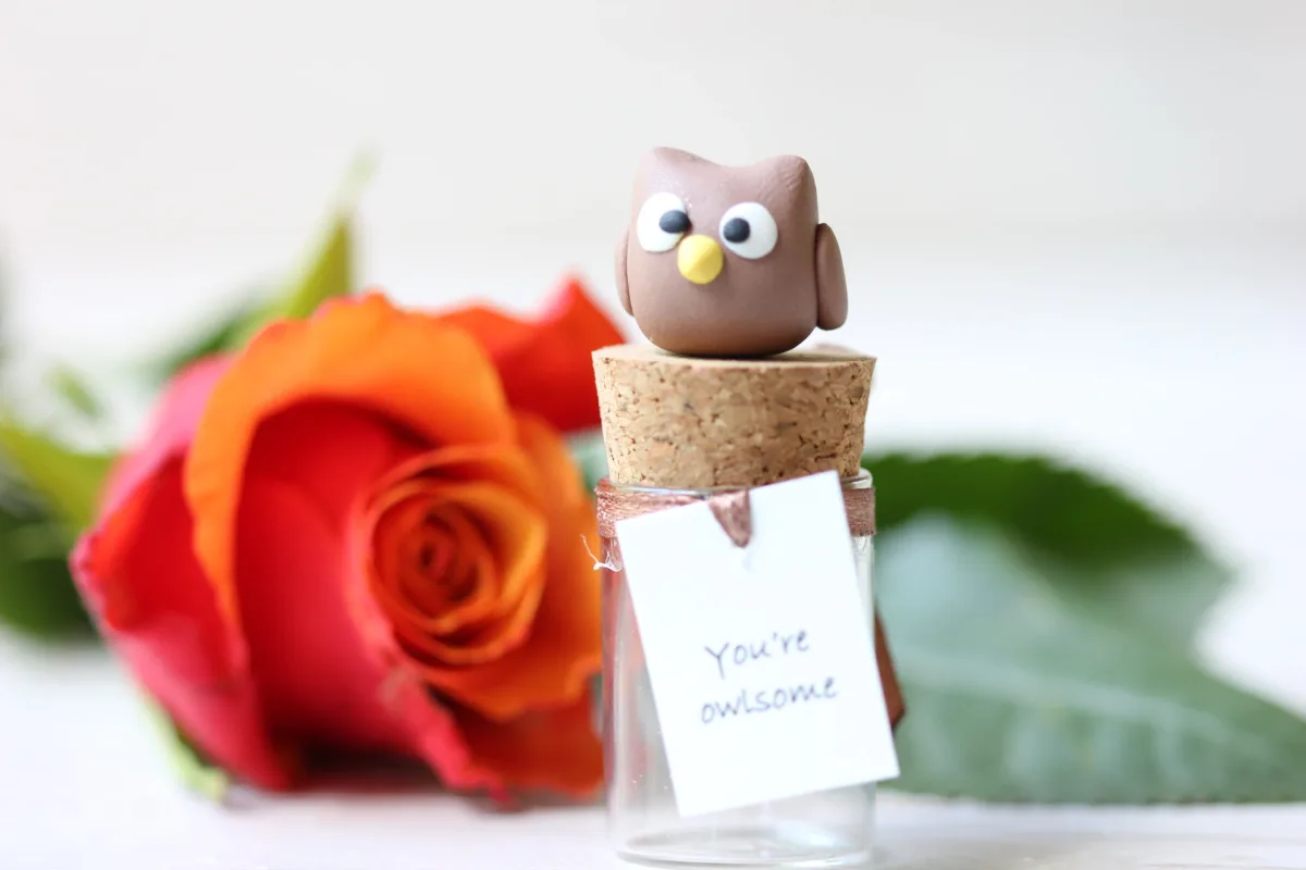 Gift for Owl Lovers Funny Personalized Girlfriend Boyfriend Customized Birthday Wedding Party Favors Christmas Valentine's Day Gift 10