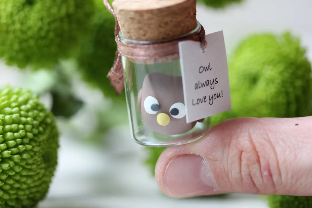 Gift for Owl Lovers Funny Personalized Girlfriend Boyfriend Customized Birthday Wedding Party Favors Christmas Valentine's Day Gift 2
