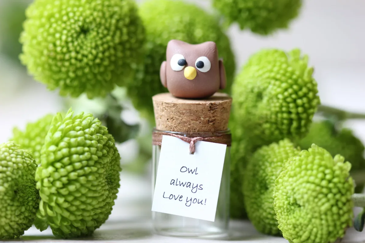 Gift for Owl Lovers Funny Personalized Girlfriend Boyfriend Customized Birthday Wedding Party Favors Christmas Valentine's Day Gift 3