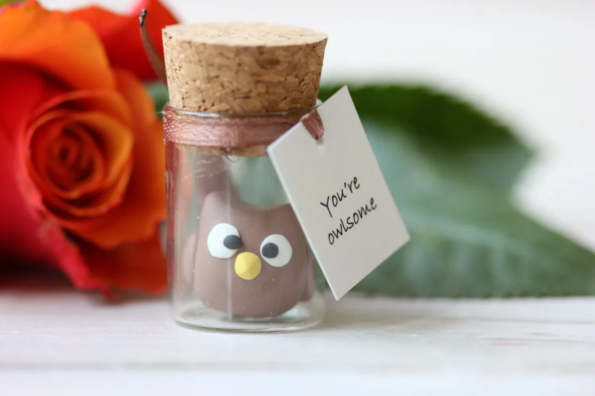 Gift for Owl Lovers Funny Personalized Girlfriend Boyfriend Customized Birthday Wedding Party Favors Christmas Valentine's Day Gift 4
