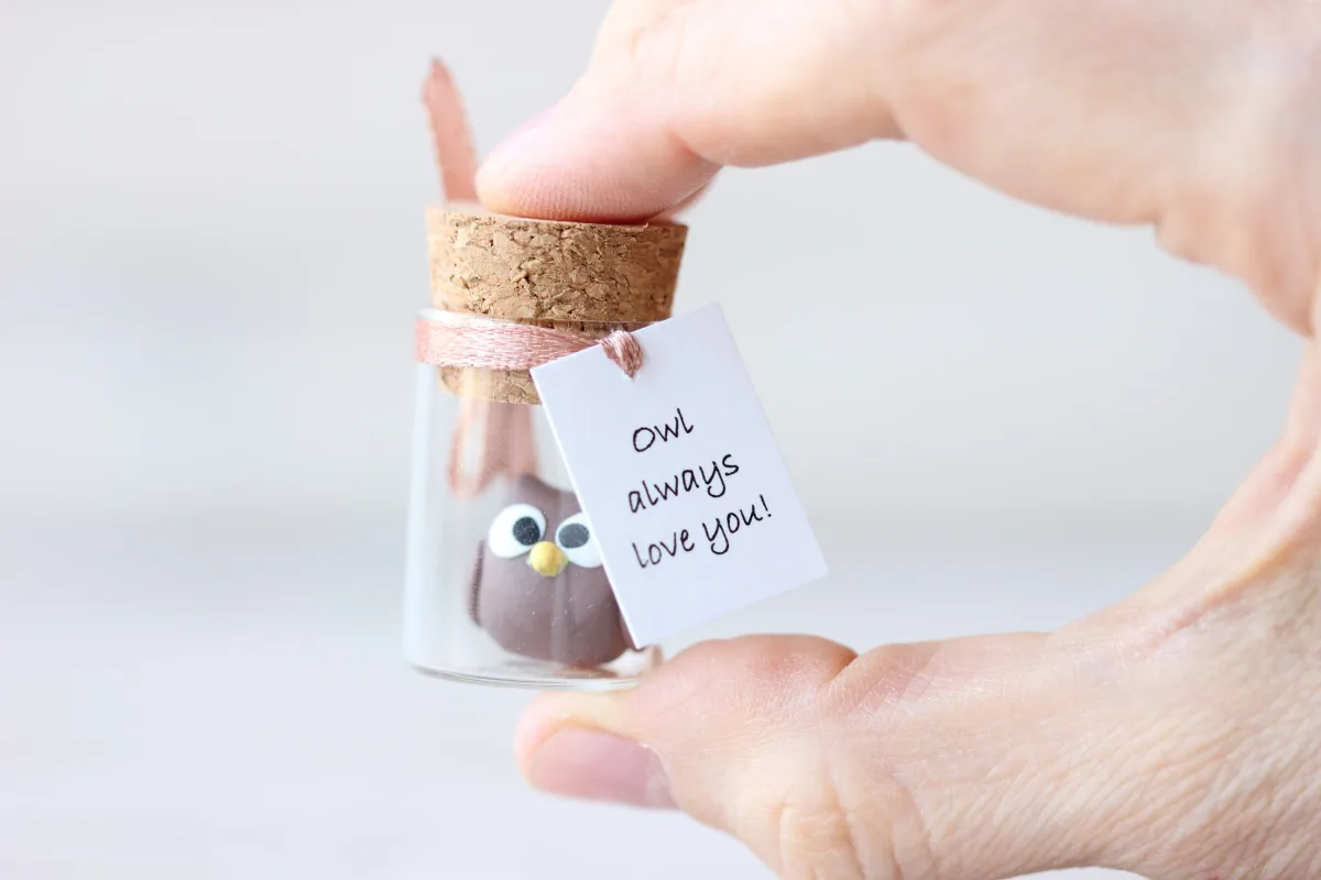 Gift for Owl Lovers Funny Personalized Girlfriend Boyfriend Customized Birthday Wedding Party Favors Christmas Valentine's Day Gift 5