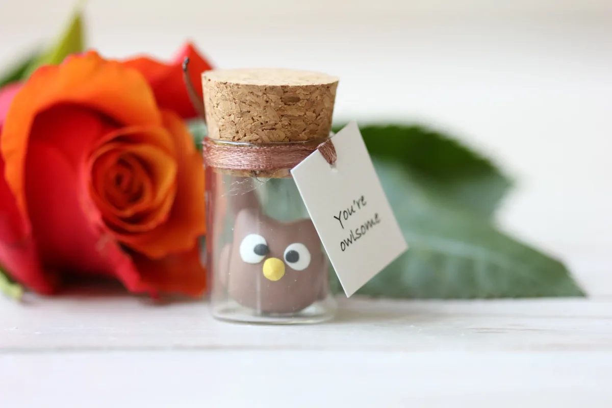 Gift for Owl Lovers Funny Personalized Girlfriend Boyfriend Customized Birthday Wedding Party Favors Christmas Valentine's Day Gift 7