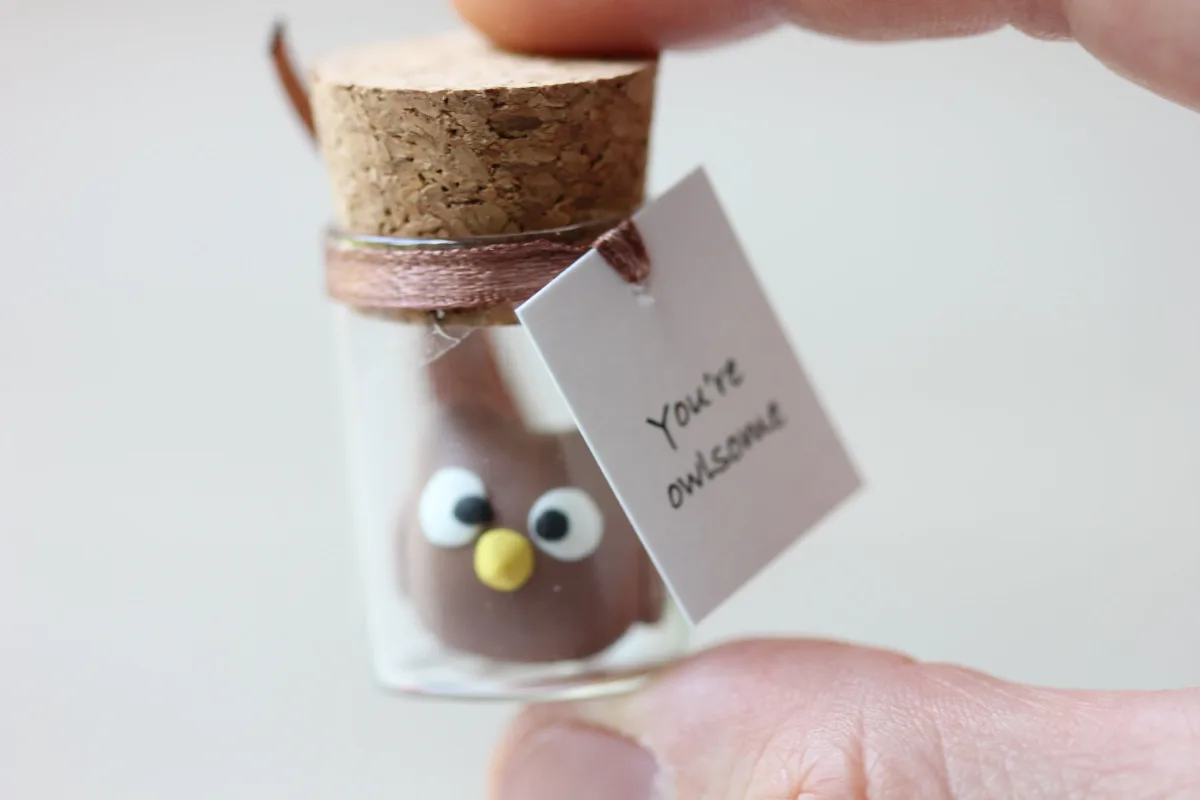Gift for Owl Lovers Funny Personalized Girlfriend Boyfriend Customized Birthday Wedding Party Favors Christmas Valentine's Day Gift 9