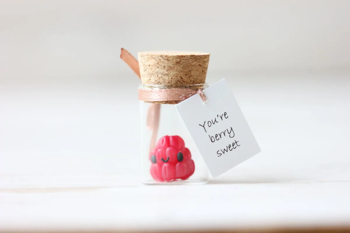 Girlfriend Boyfriend Vegan Gift Raspberry Figurine, Party Favors, Mothers Day Personalized Valentine's Day Christmas Customized Gift 4