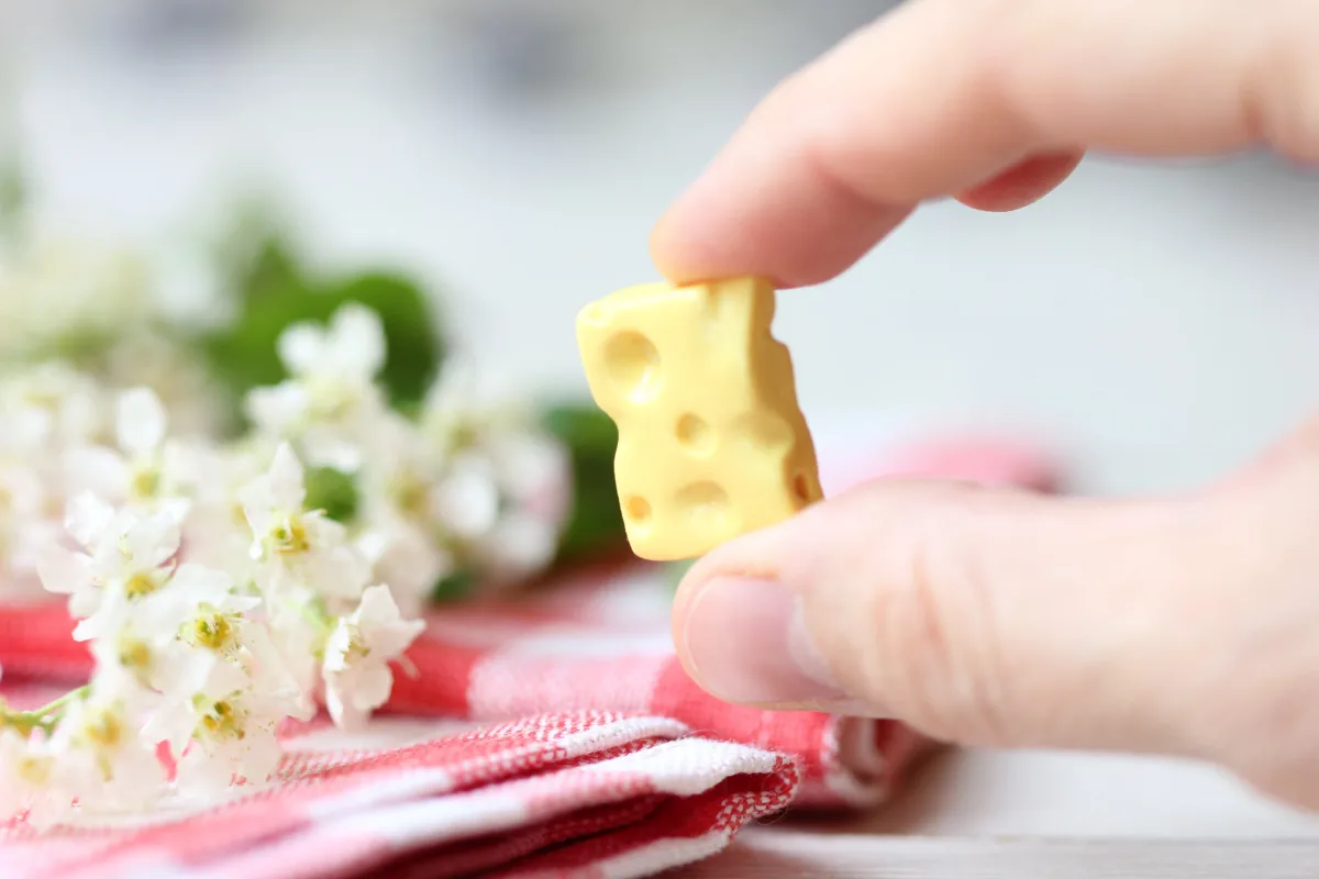 Here's a Cheesy Gift Polymer Clay Miniature Boyfriend Girlfriend Funny Gift Mother's Day Father's Day Coworkers Office Friend Christmas Gift 4