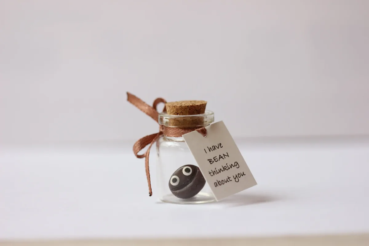 Miniature Coffee Bean Boyfriend Girlfriend Romantic Funny Gift Valentine's Day Christmas Vegan Gift Return to Office Gifts for Employees 5