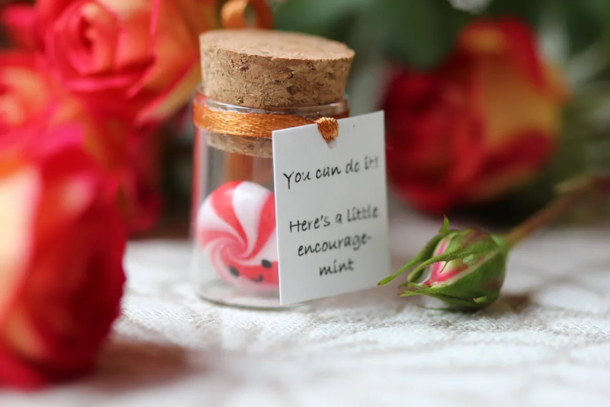 Motivational Gift For Girlfriend Boyfriend You can do it! Funny Back to school Gift for Him for Her Mint Candy Inexpensive Christmas Present