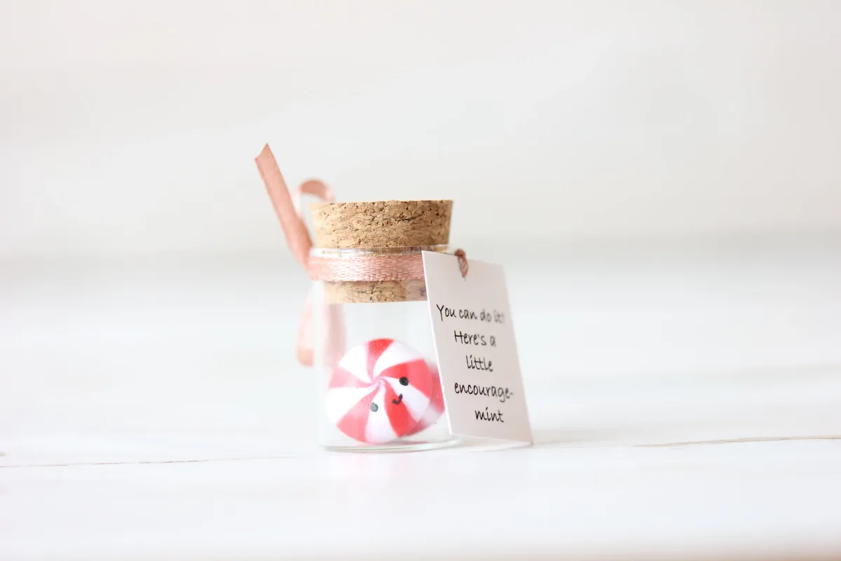 Motivational Gift For Girlfriend Boyfriend You can do it! Funny Back to school Gift for Him for Her Mint Candy Inexpensive Christmas Present 2