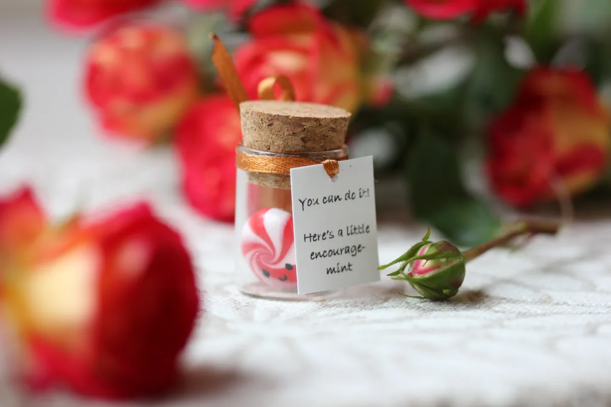 Motivational Gift For Girlfriend Boyfriend You can do it! Funny Back to school Gift for Him for Her Mint Candy Inexpensive Christmas Present 3