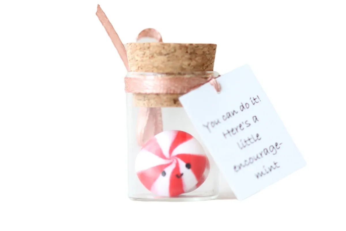 Motivational Gift For Girlfriend Boyfriend You can do it! Funny Back to school Gift for Him for Her Mint Candy Inexpensive Christmas Present 4