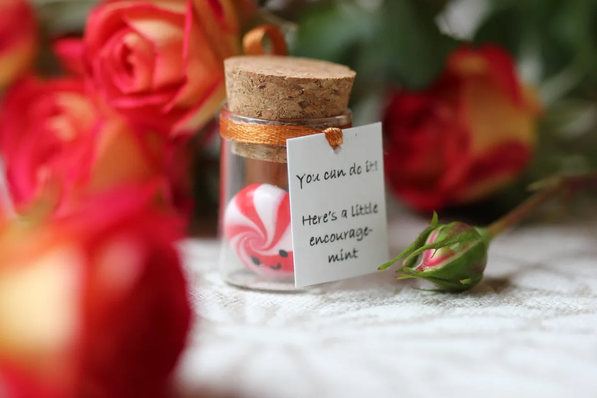 Motivational Gift For Girlfriend Boyfriend You can do it! Funny Back to school Gift for Him for Her Mint Candy Inexpensive Christmas Present 7