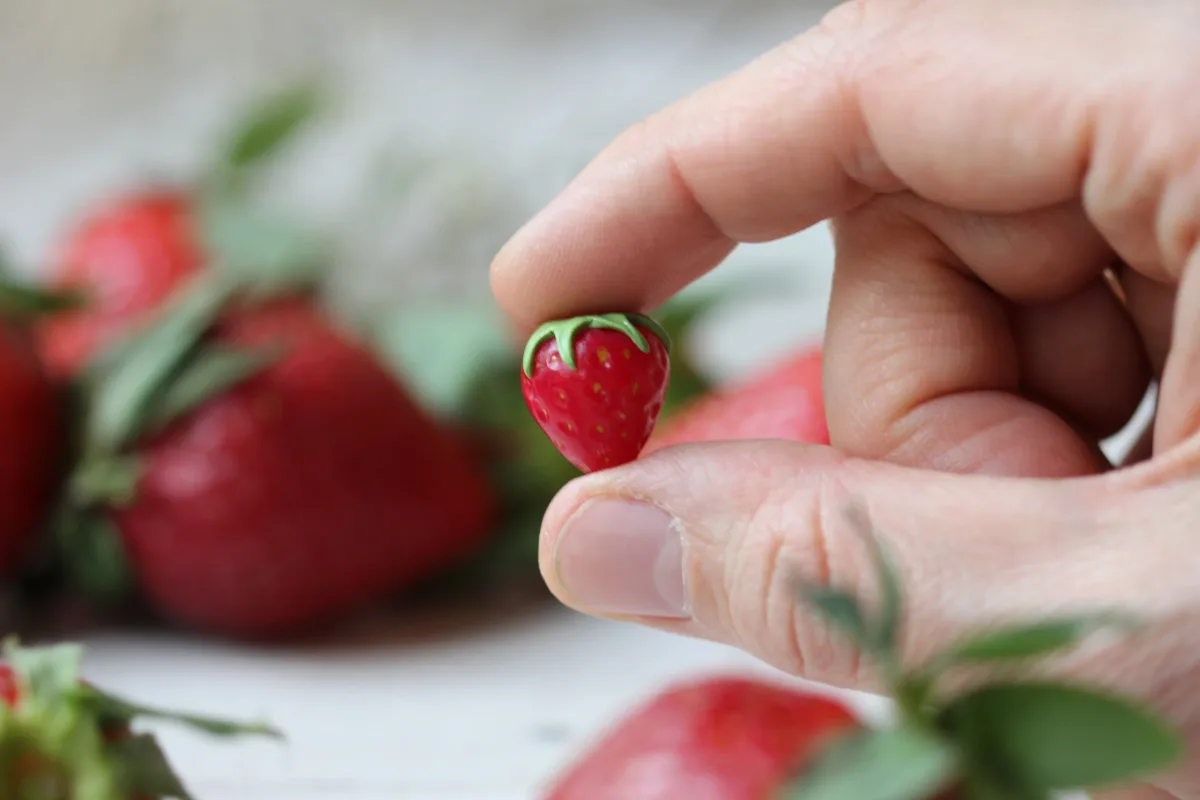 Strawberry Miniature Figurine Berry Strawberry Gift Boyfriend Girlfriend Gift Miss you Gift Thank you Gift Christmas Birthday Vegan Gift 3