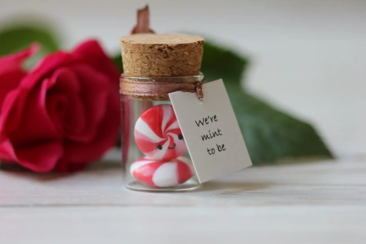 We're Mint To Be, Couples Gift, Engagement Gift, Funny Present, Anniversary Gift, Gift for Him or Her, Love Christmas Gift, Cute Gift Idea