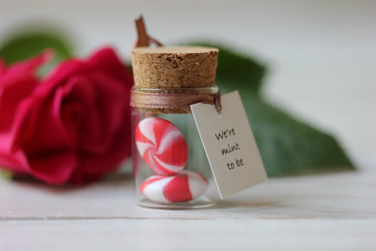 We're Mint To Be, Couples Gift, Engagement Gift, Funny Present, Anniversary Gift, Gift for Him or Her, Love Christmas Gift, Cute Gift Idea 3