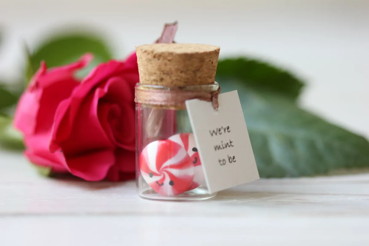 We're Mint To Be, Couples Gift, Engagement Gift, Funny Present, Anniversary Gift, Gift for Him or Her, Love Christmas Gift, Cute Gift Idea 6