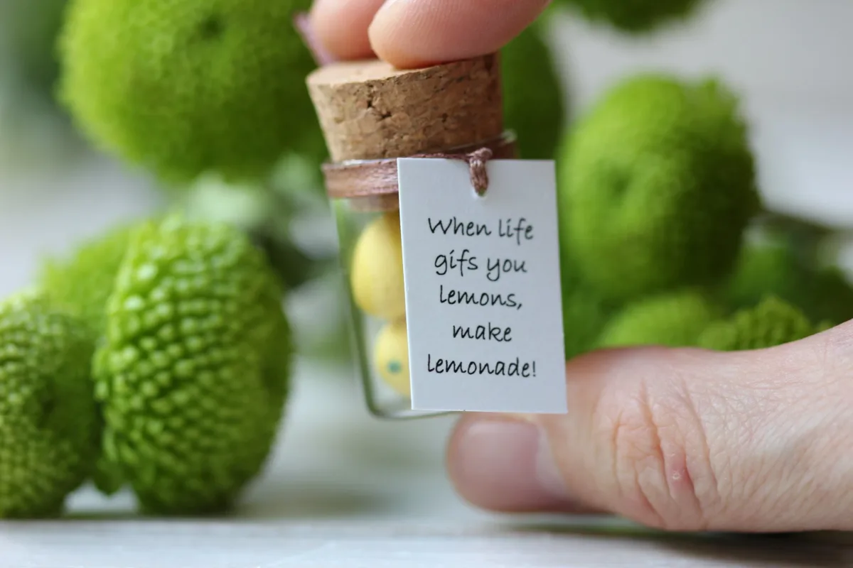 When Life Gives You Lemons, Make Lemonade, Kitchen decor Lemonade Party Decoration Positive Inspirational Quote Birthday Christmas Gift 1