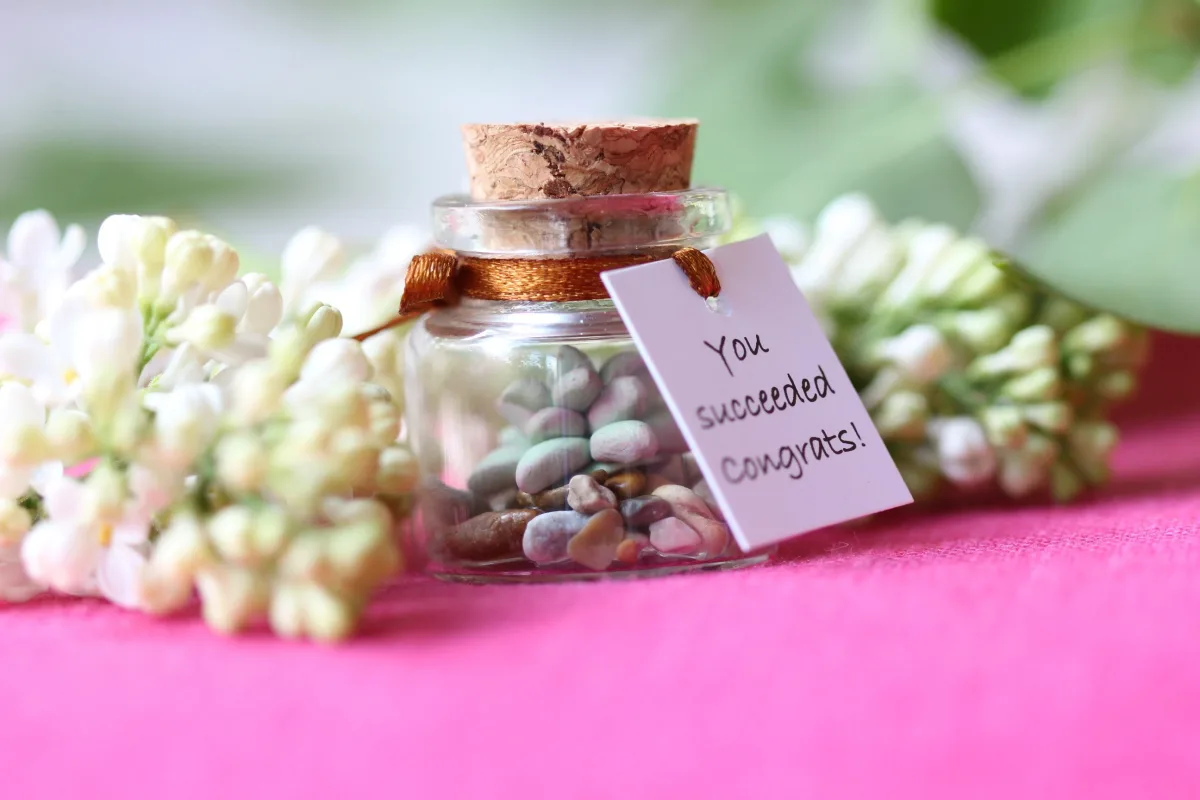 Succulent Graduation Gift Class Of 2024 University Graduate Masters Degree Gift Send a Friend Hug Mother's Day Daycare Gift College Graduat 1