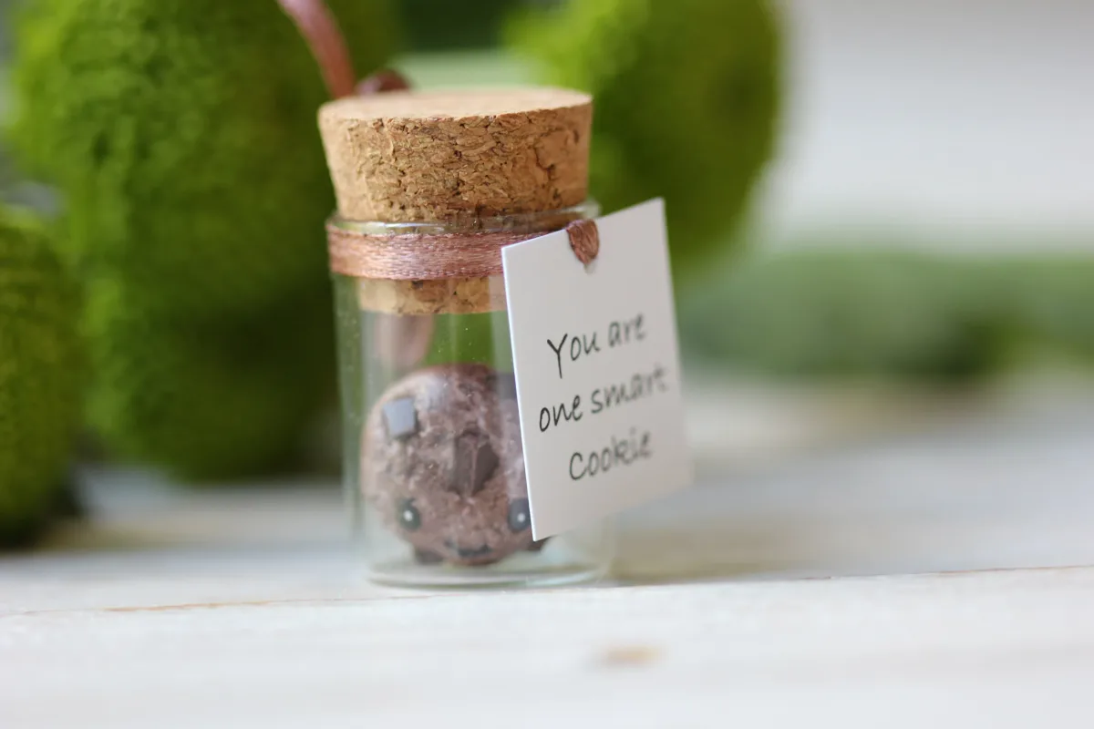 You Are One Smart Cookie, Graduation Gift Class Of 2024 University Graduate, College, High School, Masters Degree Gift 3